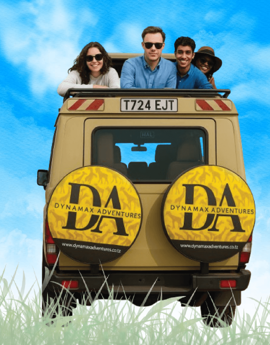 Dynamax safari in Tanzania