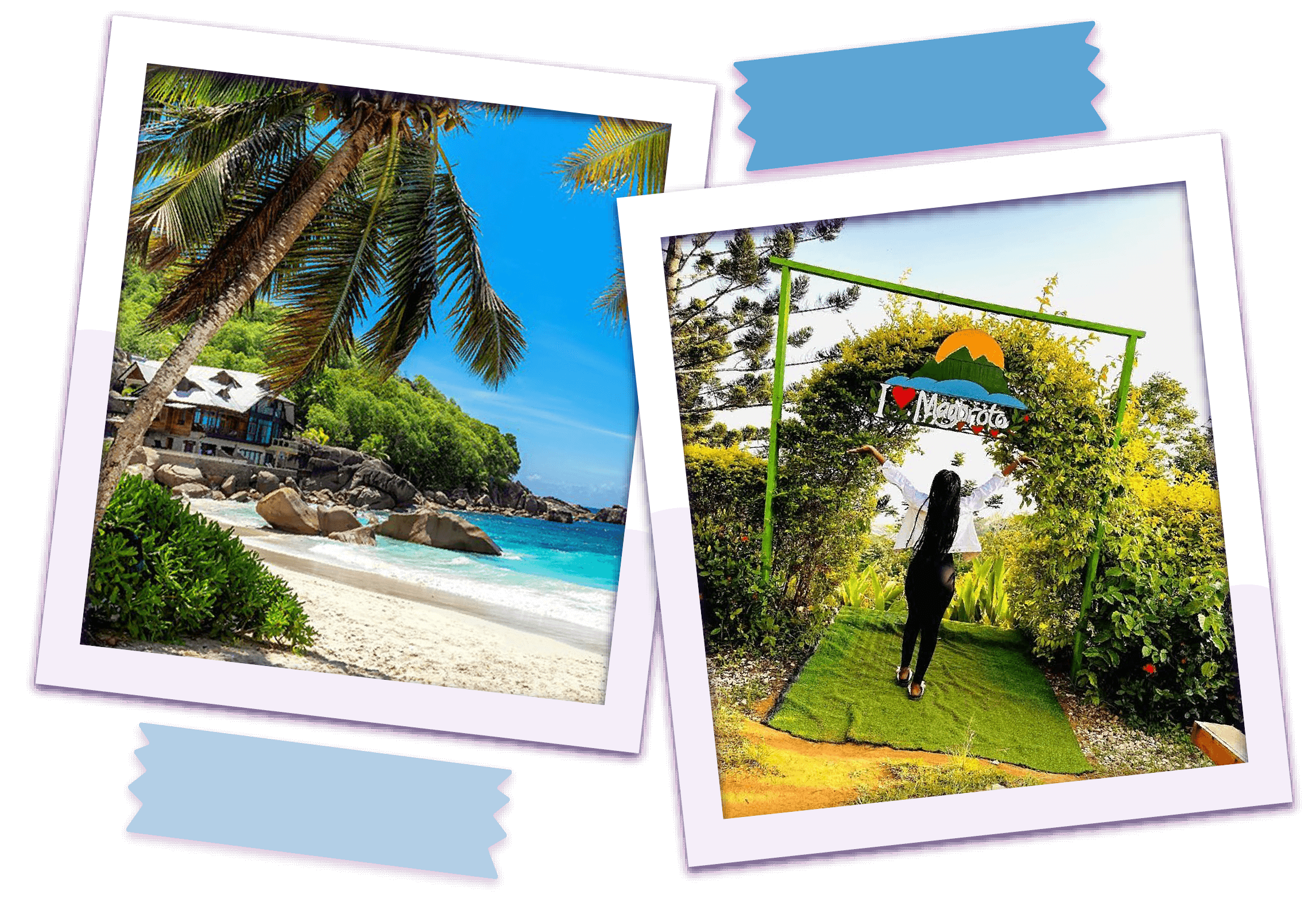 dynamax-packages-image