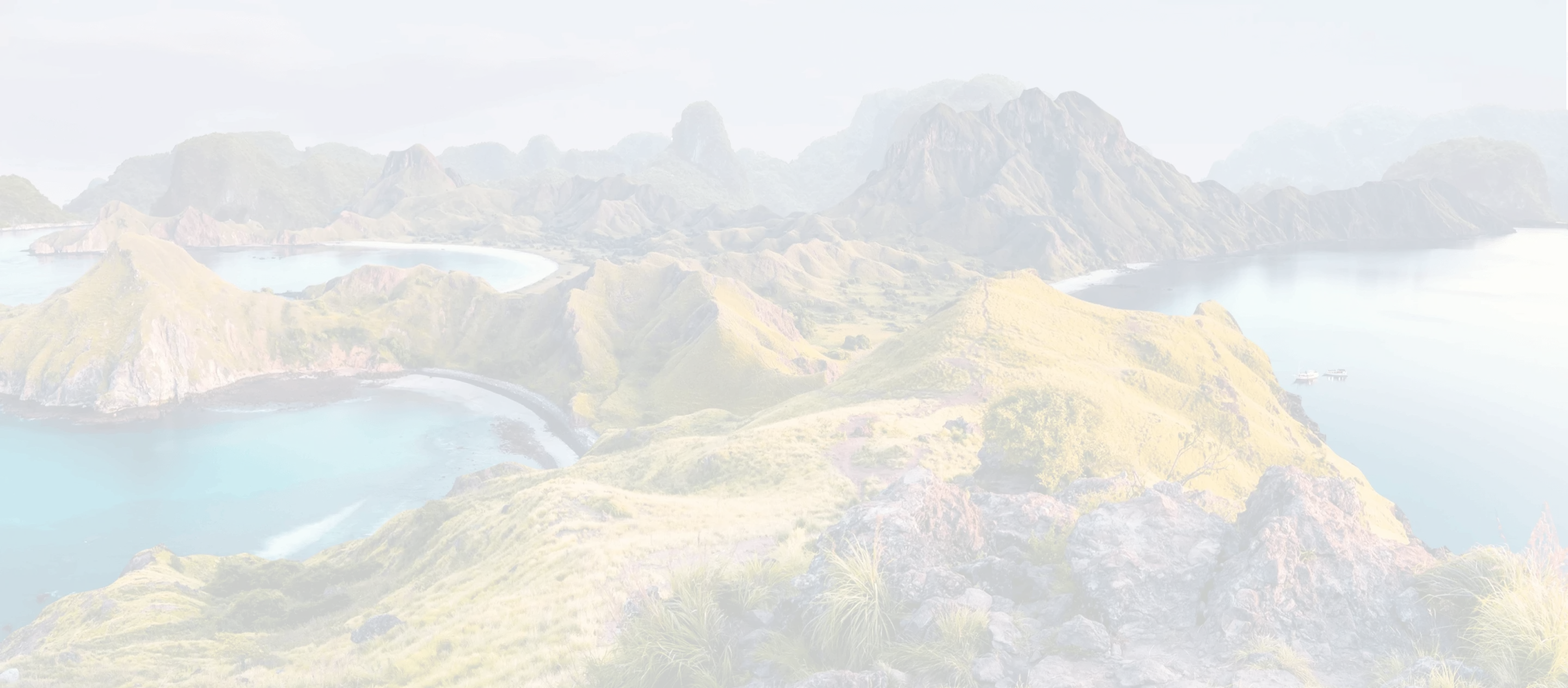 dynamax-director-sec